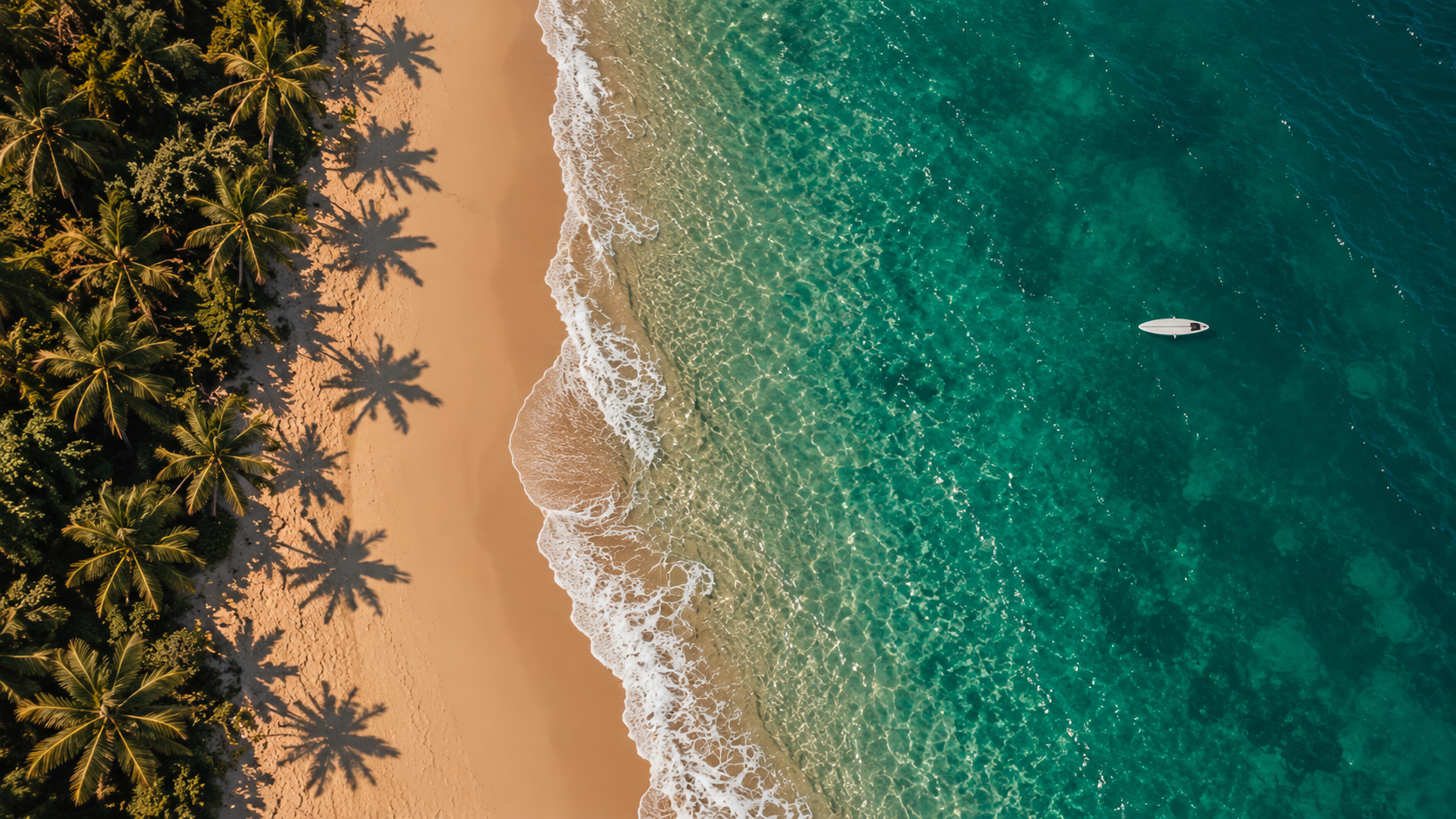 An aerial view of a palm-lined beach and a small boat