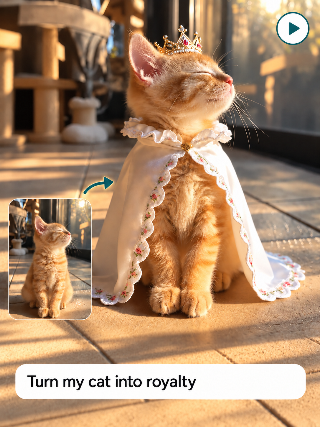 Image-to-video example: a cat transformed into royalty with a crown and cape