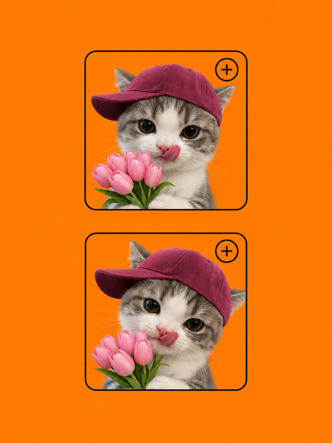 Two kitten portraits with add icons illustrating reference images for a hotel lobby video
